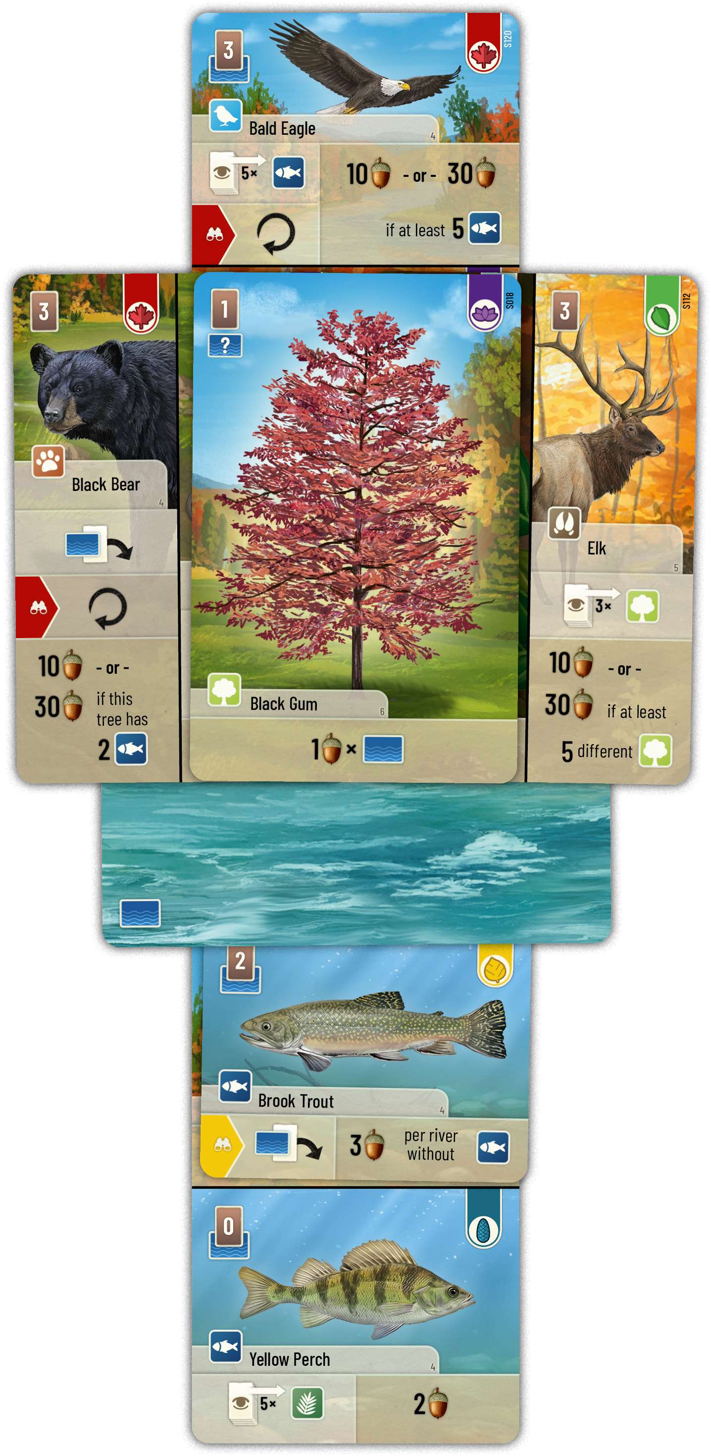 Official sample of Forest Shuffle: Smoky Mountains tree, animal and water cards.