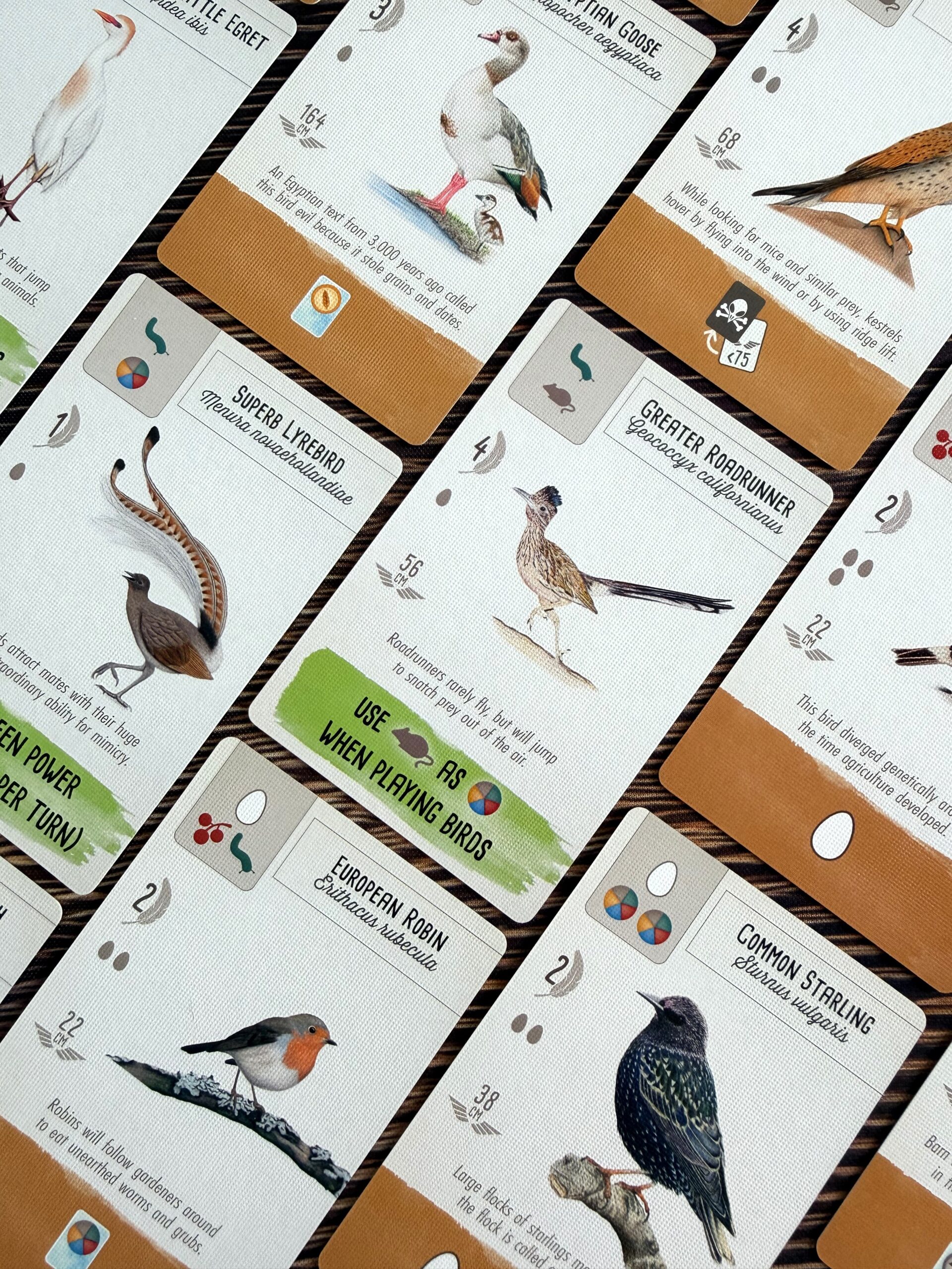 Official Stonemaier photo showing Wingspan Pocket bird and food cards.