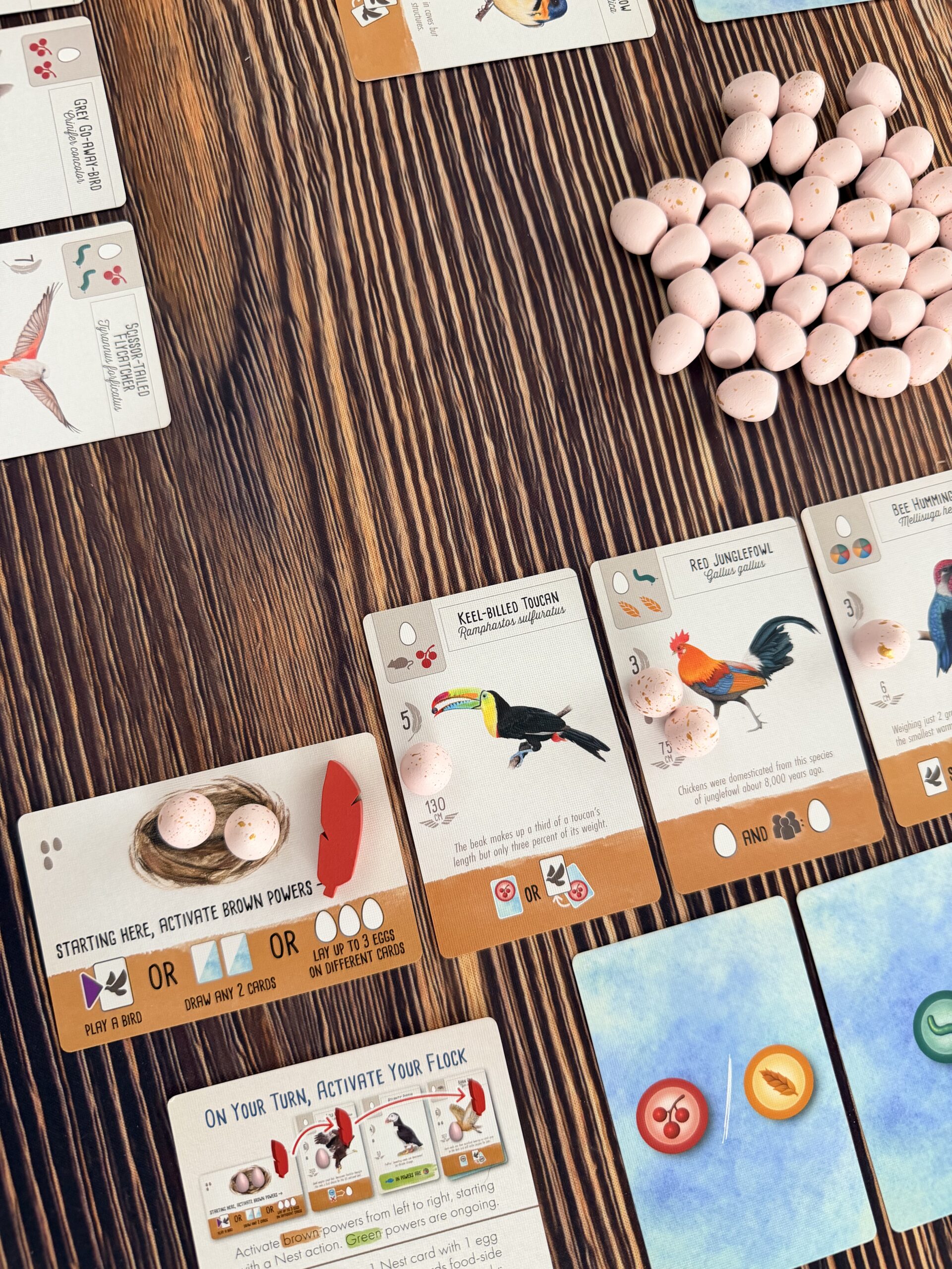 Official Stonemaier table photo showing a Wingspan Pocket game in progress.