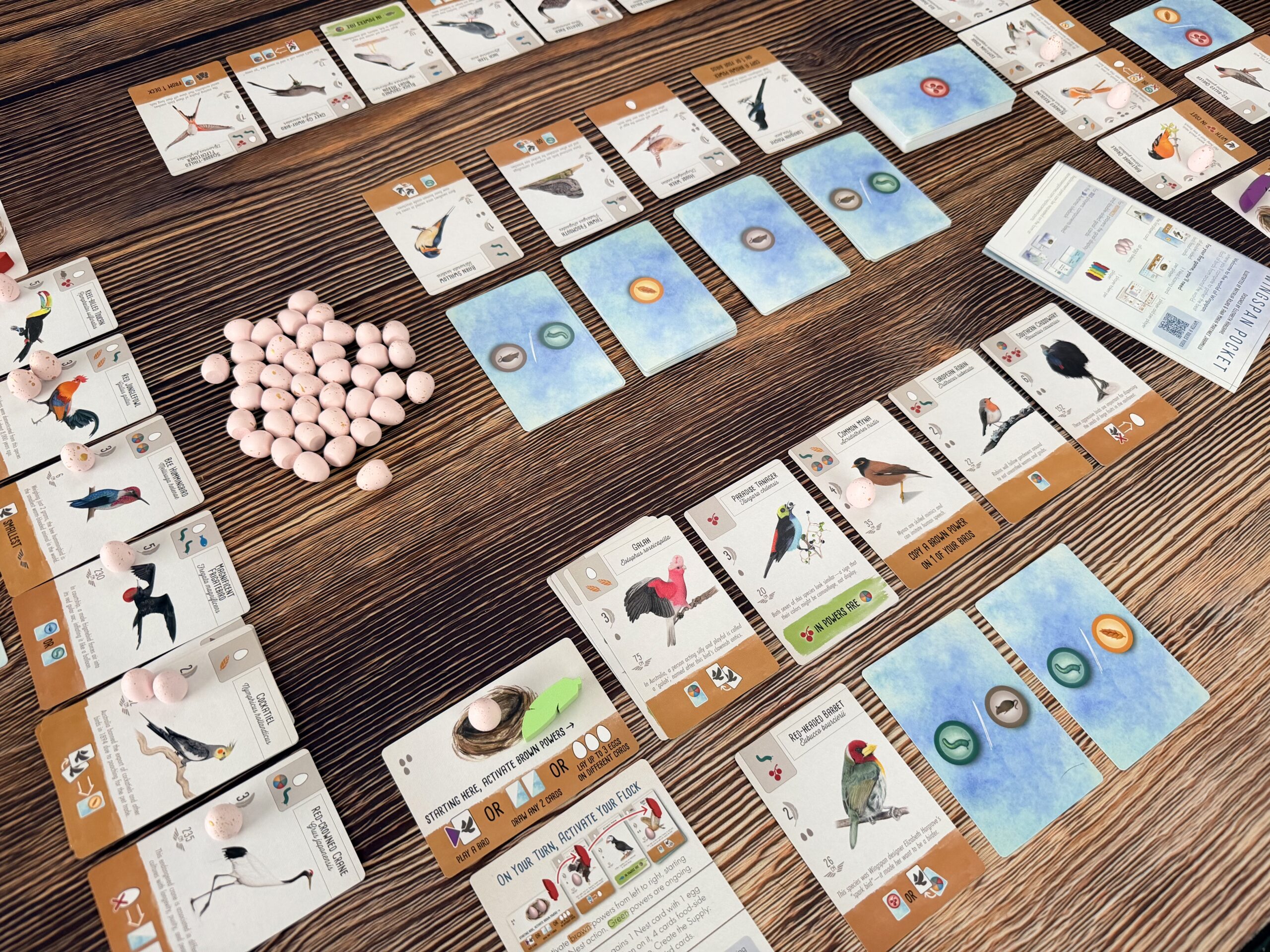 Official Stonemaier photo showing the complete Wingspan Pocket game contents.