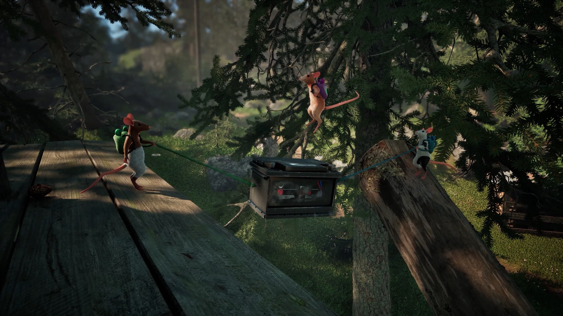 Mice use backpack tethers around a suspended radio among tree branches.