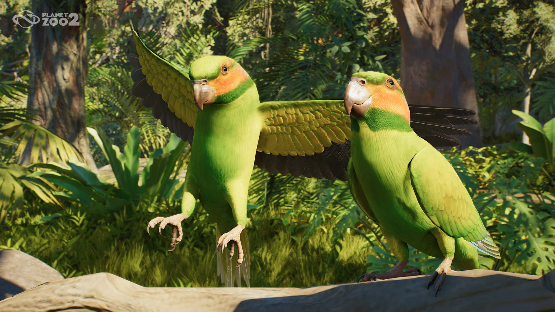 Two green and orange birds perch and spread their wings on a branch.