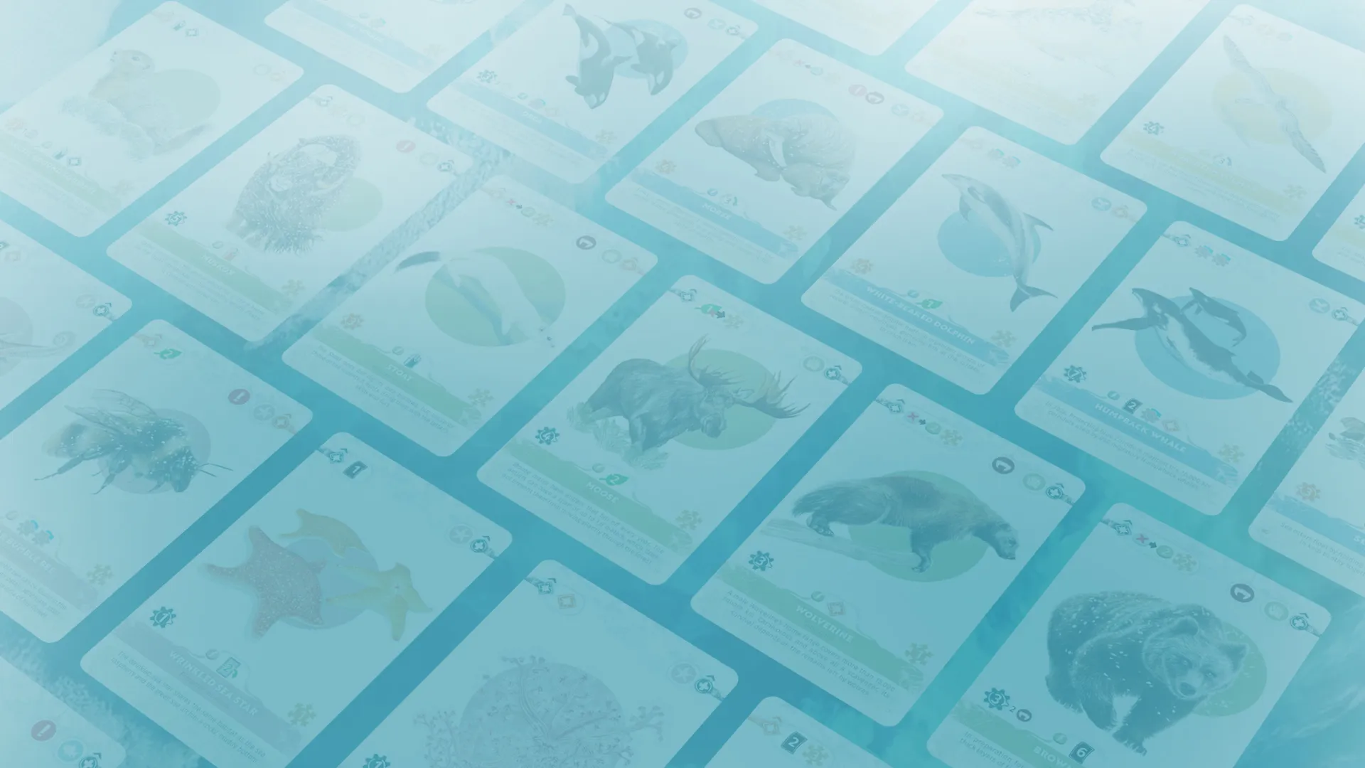 Official ARCTICA artwork showing a spread of illustrated Arctic animal cards.
