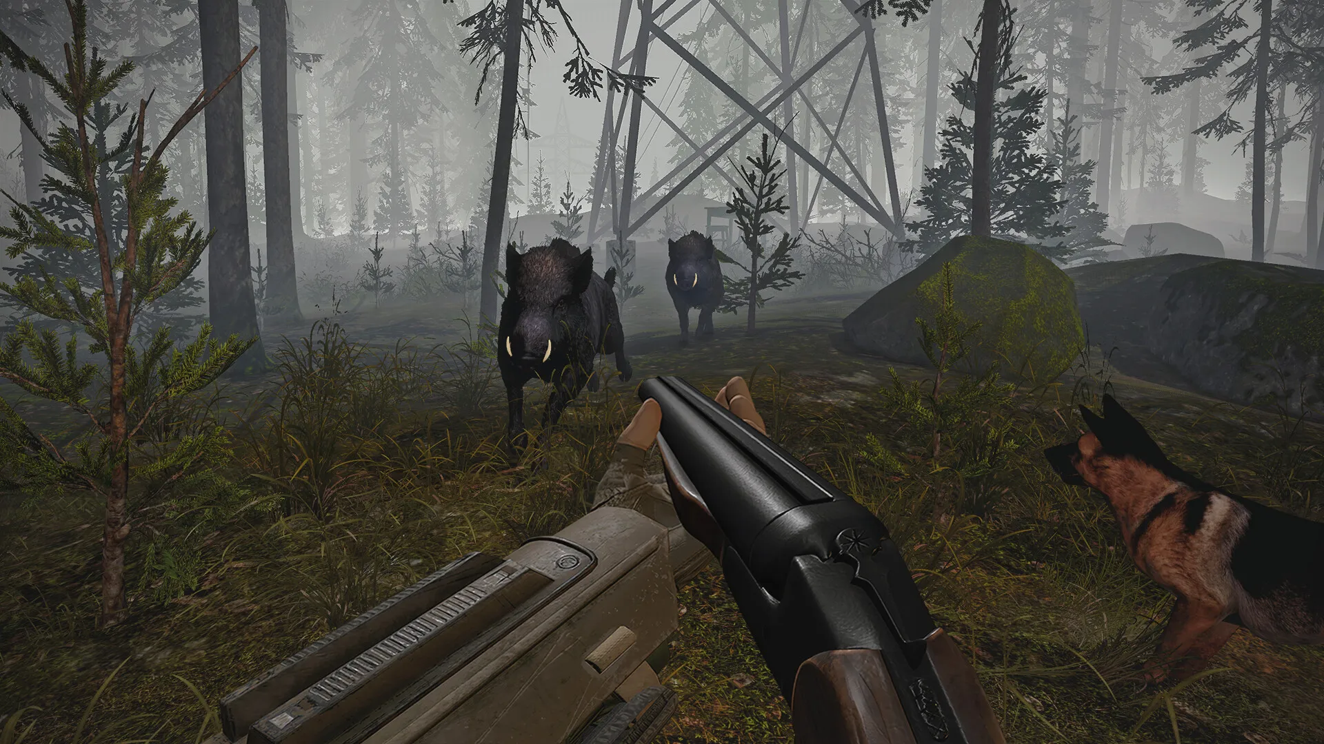 First-person shotgun, dog and boars in a foggy forest.