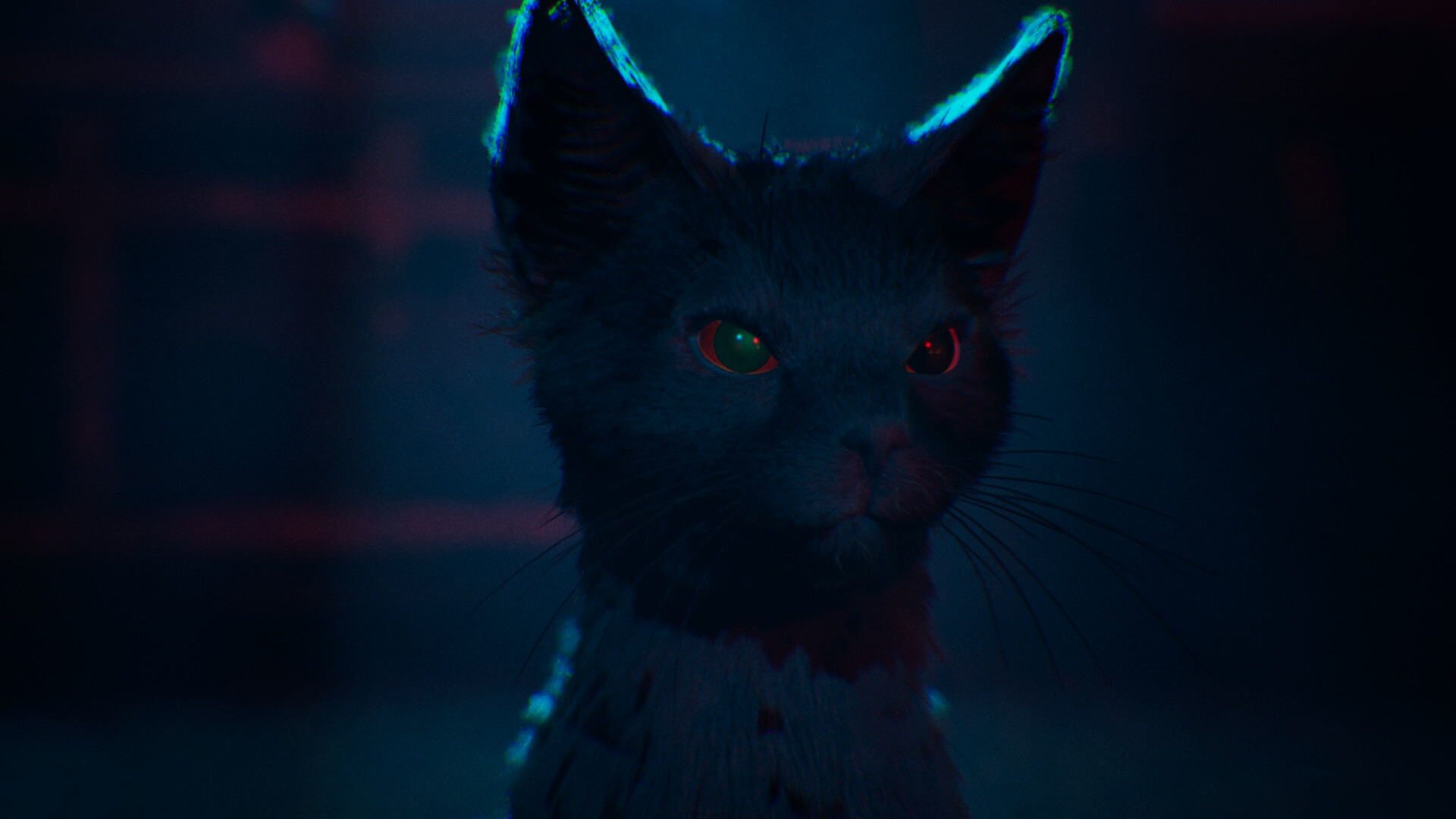 Official 1666: Amsterdam screenshot showing a close-up of Aaron the cat companion in blue light.