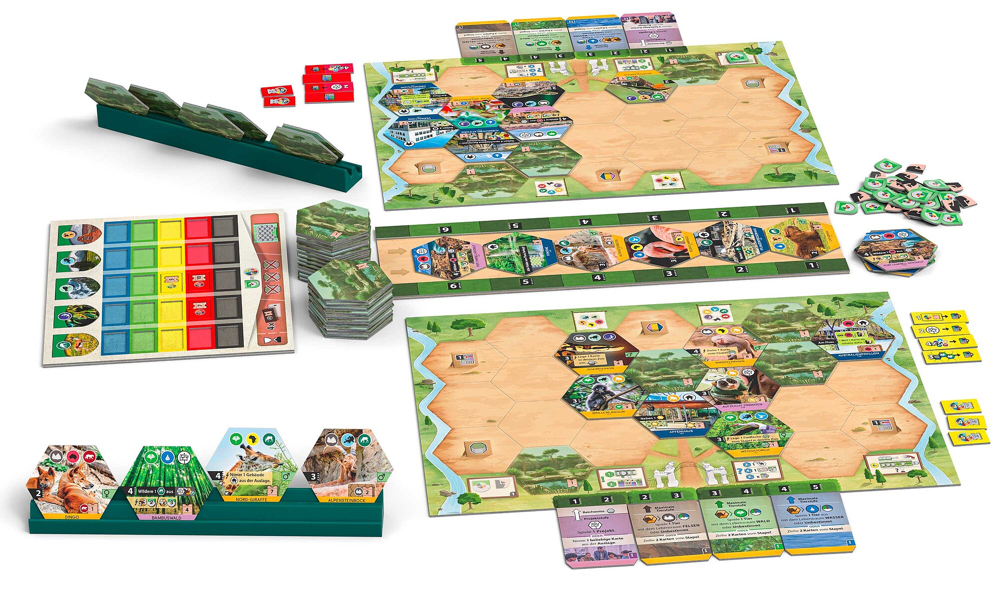 Artengarten zoo boards, animal tiles, shared display and action cards arranged for a product photograph.